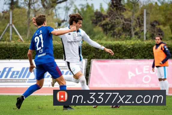 3377体育app发展历程